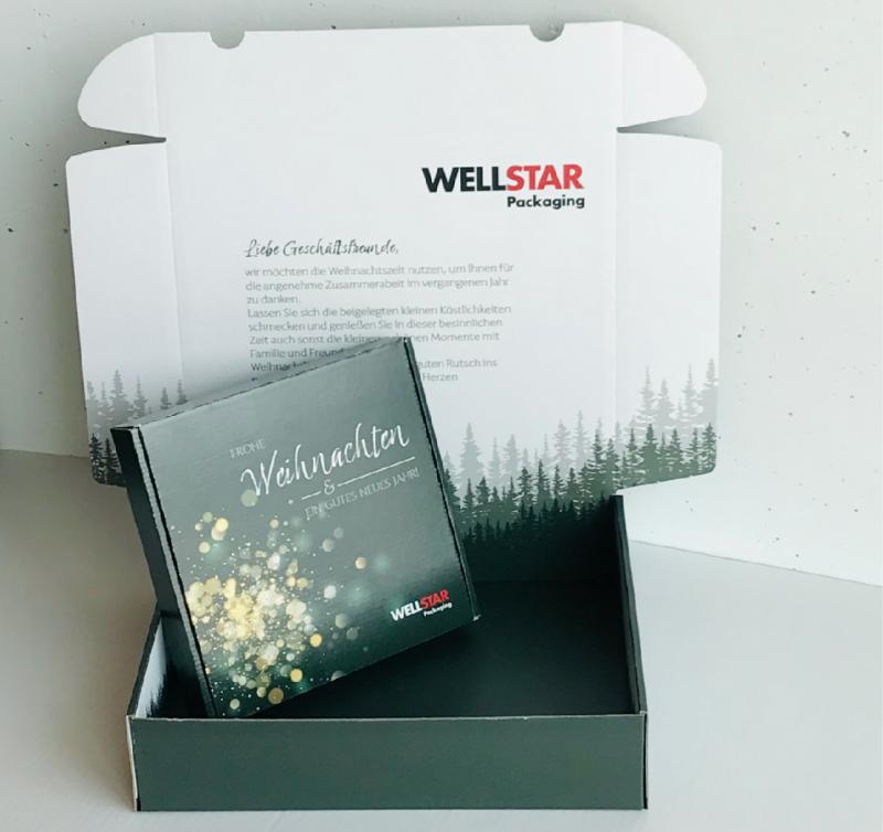 Wellstar-Packaging Weihnachtsverpackung 2022