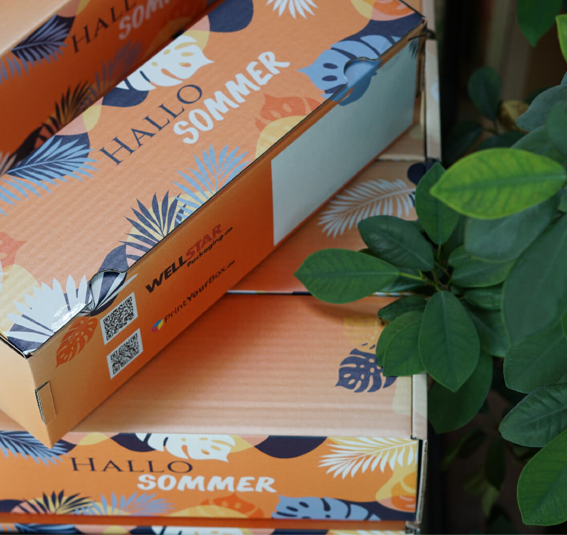 Sommerbox 2023