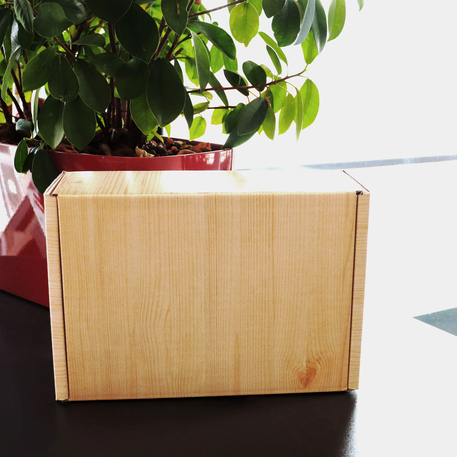 Die Boxx mit Holzdesign geschlossen