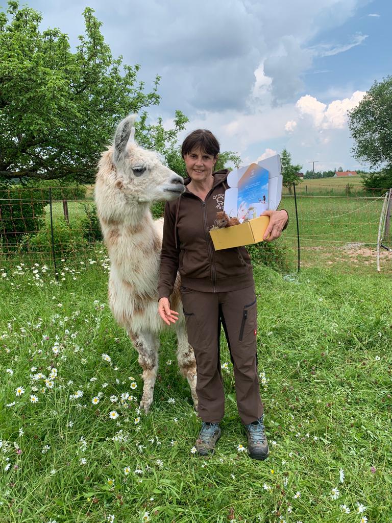 Alpaka und Besitzerin mit Geschenkbox